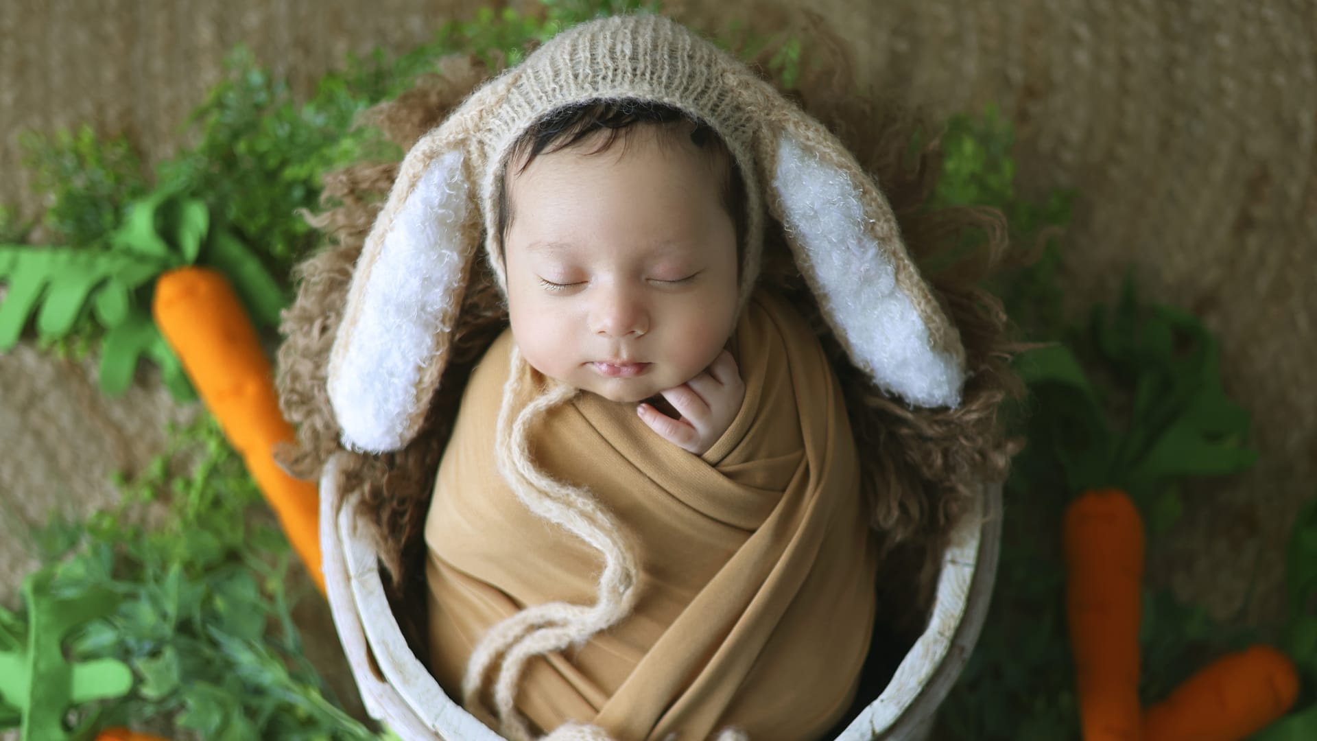 Family photography session