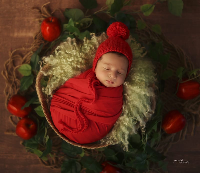 Newborn portrait with soft natural lighting